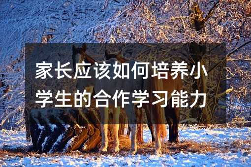 家長應該如何培養(yǎng)小學生的合作學習能力