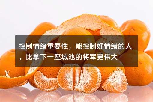控制情緒重要性,能控制好情緒的人,比拿下一座城池的將軍更偉大