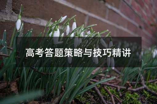 高考答題策略與技巧精講
