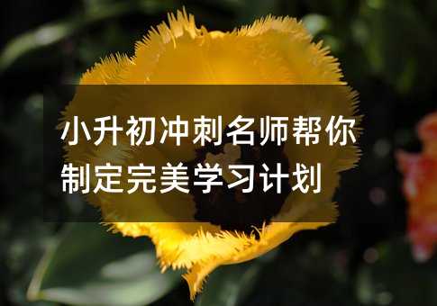 小升初沖刺名師幫你制定完美學習計劃