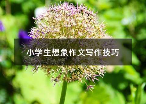 小學生想象作文寫作技巧