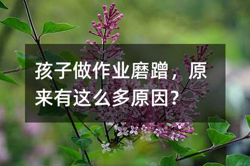 孩子做作業(yè)磨蹭,原來有這么多原因?