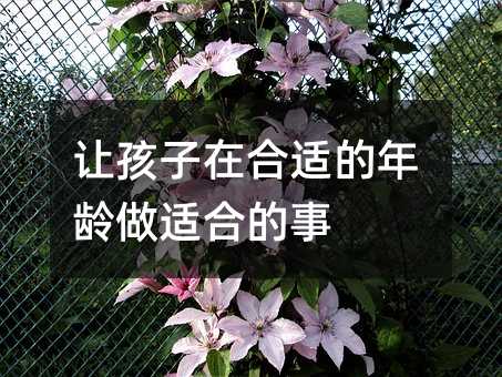 讓孩子在合適的年齡做適合的事