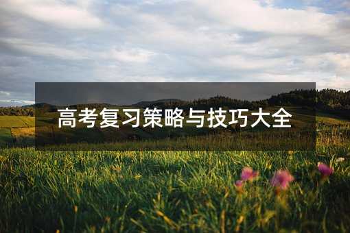 高考復(fù)習(xí)策略與技巧大全
