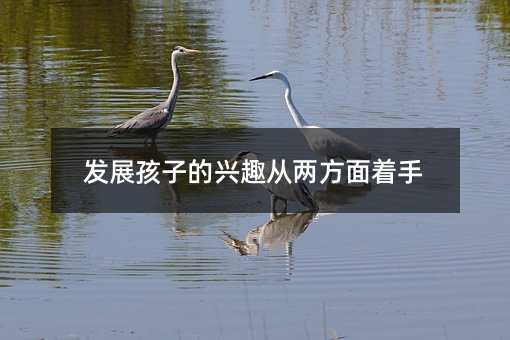 發(fā)展孩子的興趣從兩方面著手
