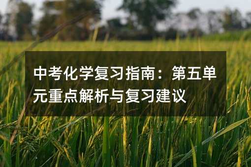中考化學復習指南:第五單元重點解析與復習建議