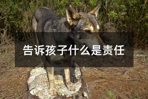 告訴孩子什么是責(zé)任