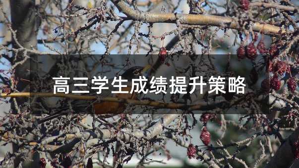 高三學生成績提升策略