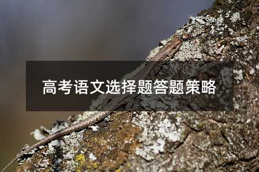 高考語文選擇題答題策略