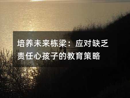 培養未來棟梁:應對缺乏責任心孩子的教育策略