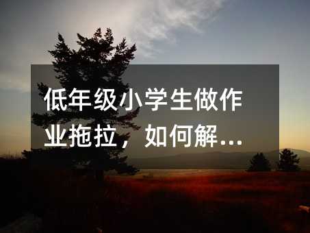 低年級小學生做作業拖拉,如何解決?