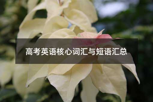 ߿ӢZ~RcZR
