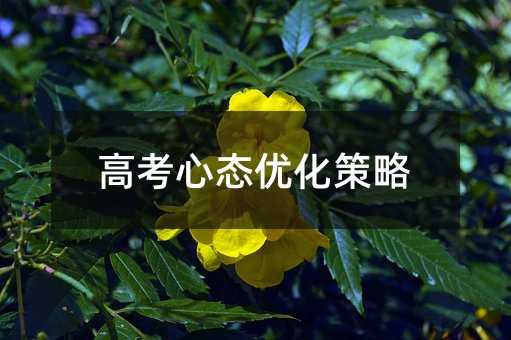 高考心態優化策略