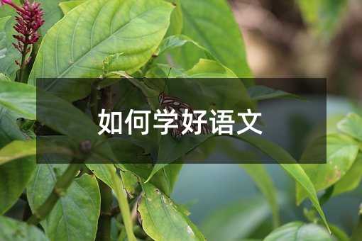 如何學好語文