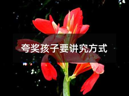 䪄Ҫvʽ