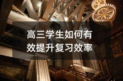 高三學(xué)生如何有效提升復(fù)習(xí)效率