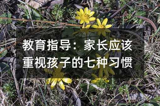 教育指導:家長應該重視孩子的七種習慣