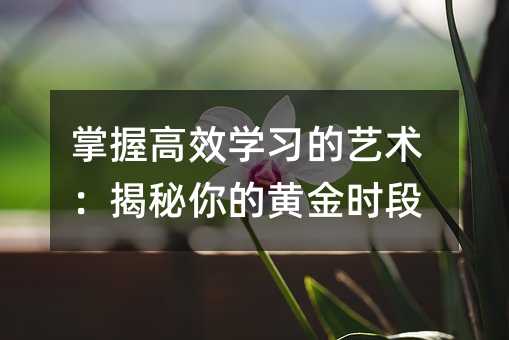 掌握高效學習的藝術:揭秘你的黃金時段