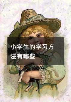 小學(xué)生的學(xué)習(xí)方法有哪些