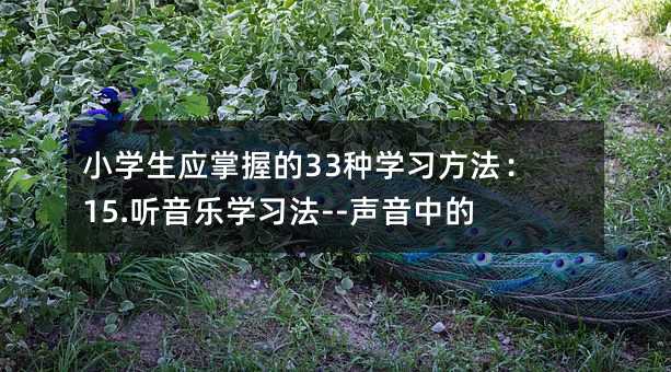 小學(xué)生應(yīng)掌握的33種學(xué)習(xí)方法:15.聽音樂學(xué)習(xí)法--聲音中的樂趣