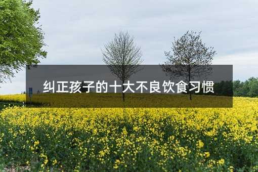 糾正孩子的十大不良飲食習(xí)慣