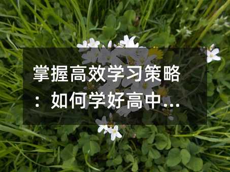 掌握高效學習策略:如何學好高中英語