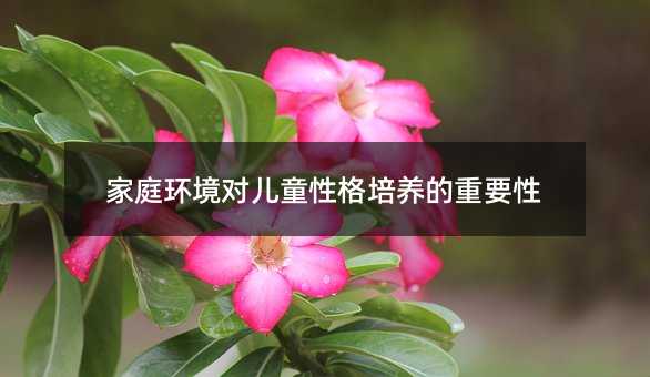 ͥh(hun)(du)ͯԸB(yng)Ҫ