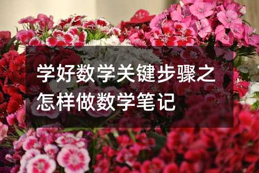 學(xué)好數(shù)學(xué)關(guān)鍵步驟之怎樣做數(shù)學(xué)筆記