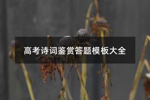 高考詩詞鑒賞答題模板大全