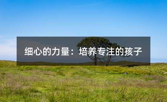 細(xì)心的力量:培養(yǎng)專注的孩子