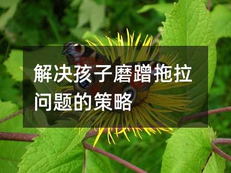 解決孩子磨蹭拖拉問(wèn)題的策略