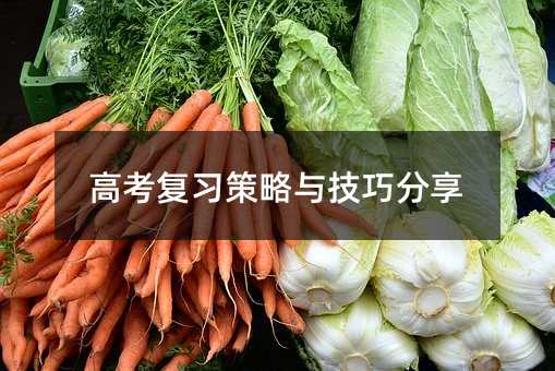 高考復(fù)習(xí)策略與技巧分享