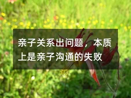 HP(gun)ϵ}|(zh)HӜͨʧ