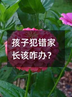 孩子犯錯(cuò)家長(zhǎng)該咋辦?
