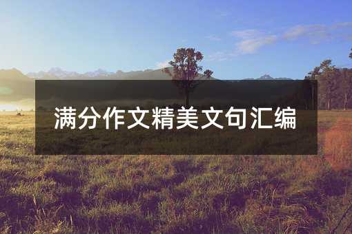 滿(mǎn)分作文精美文句匯編