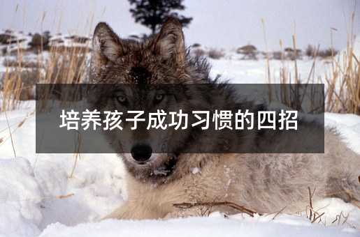 ���B���ӳɹ����T������