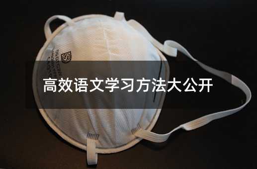 高效語文學習方法大公開