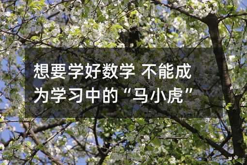 想要學好數學 不能成為學習中的“馬小虎”