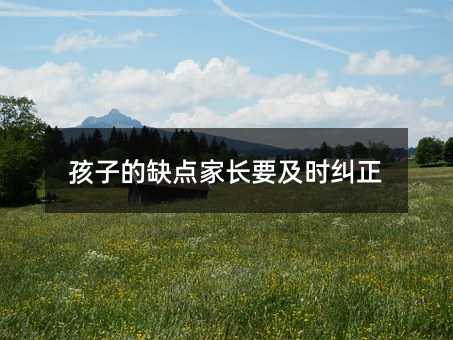 孩子的缺點家長要及時糾正