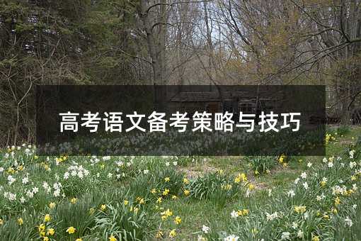 高考語文備考策略與技巧