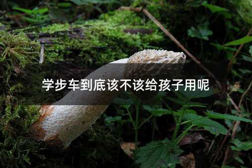 學步車到底該不該給孩子用呢