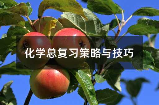 化學總復習策略與技巧