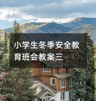 小學生冬季安全教育班會教案三