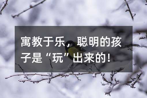 寓教于樂,聰明的孩子是“玩”出來的!