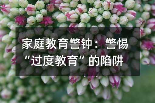家庭教育警鐘:警惕“過(guò)度教育”的陷阱