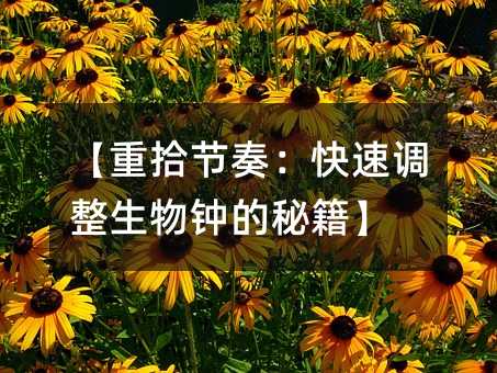 【重拾節(jié)奏:快速調(diào)整生物鐘的秘籍】