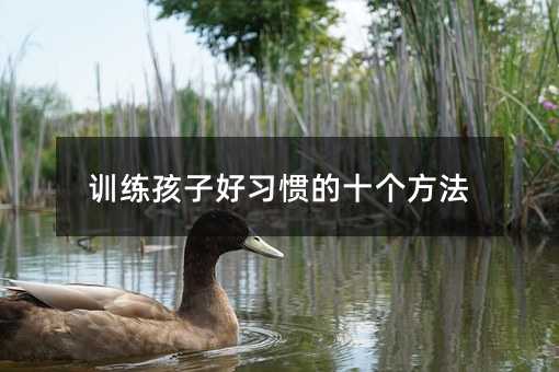 訓(xùn)練孩子好習(xí)慣的十個(gè)方法