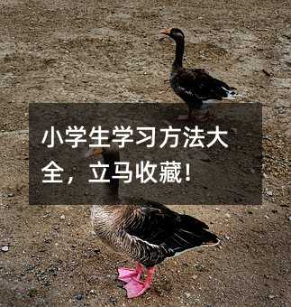 小學生學習方法大全,立馬收藏!