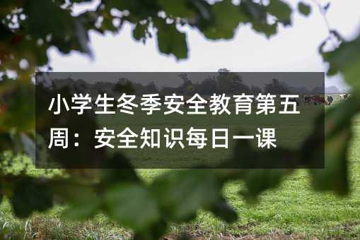 小學(xué)生冬季安全教育第五周:安全知識(shí)每日一課