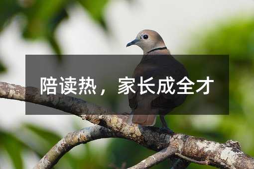 xᣬLȫ